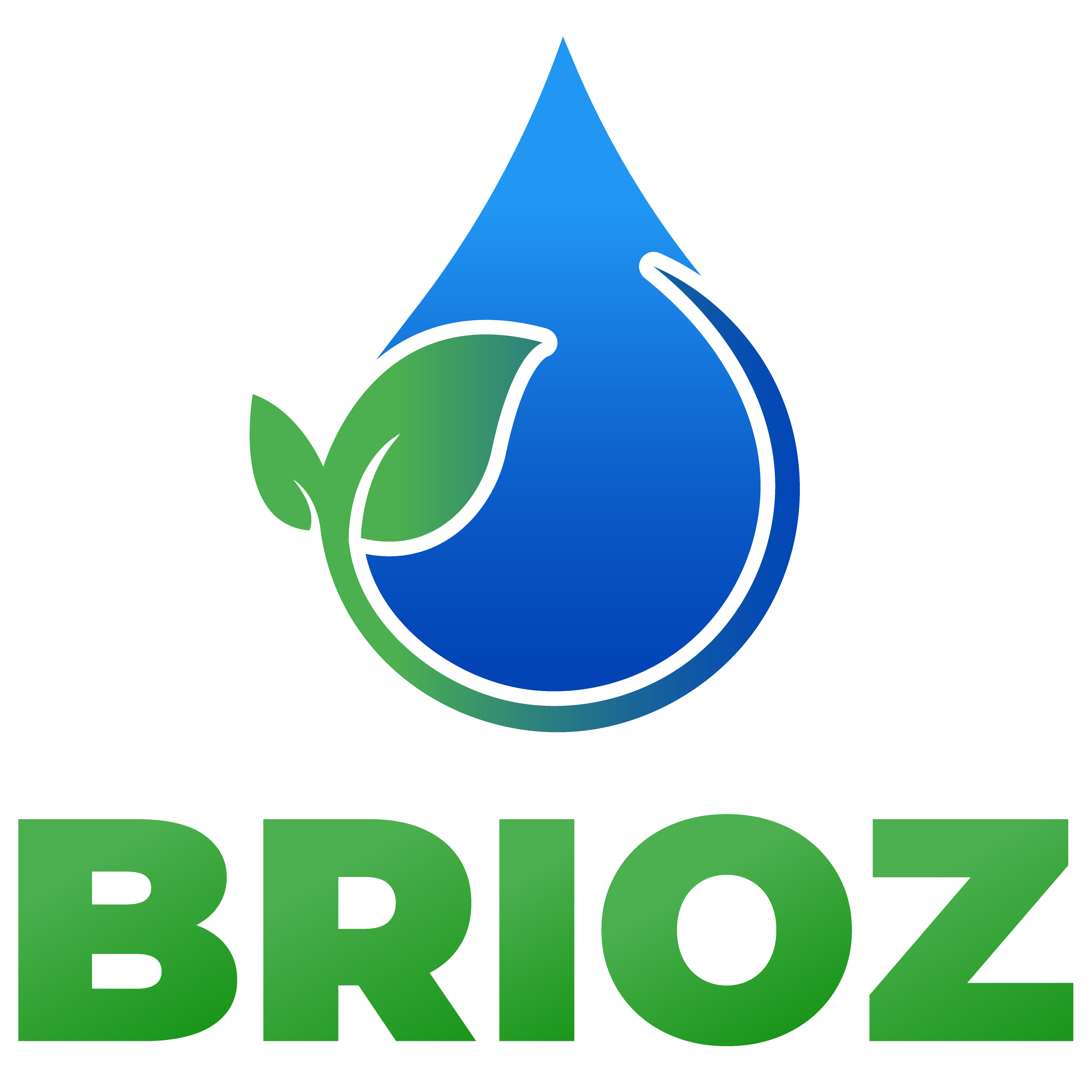 Logo BRIOZ